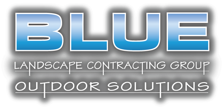 Blue Group Solutions