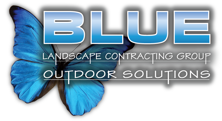 Blue Group Solutions